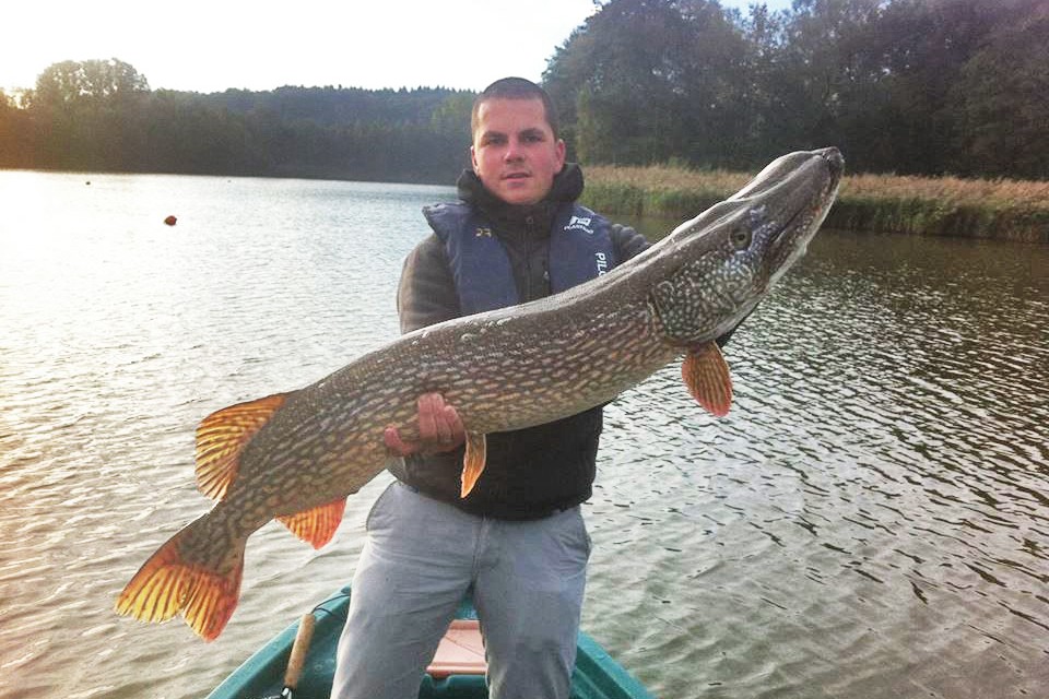 Brochet Bambois